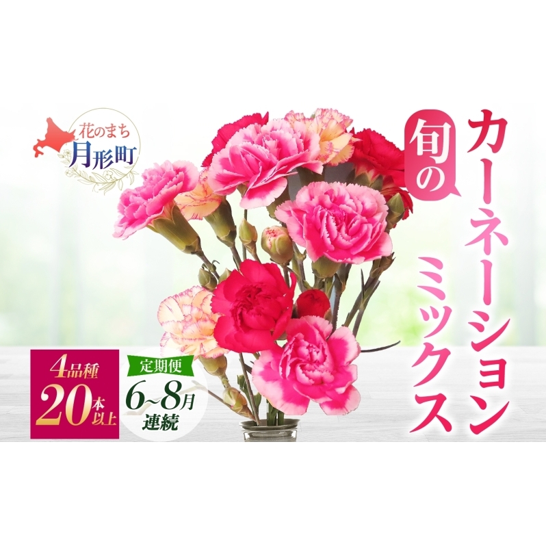 <2025年6月~8月まで3ヵ月連続お届け>北海道 カーネーション ミックス 4品種 20本以上 花 花束 切花 ブーケ 旬 季節 生花 フラワー アレンジメント