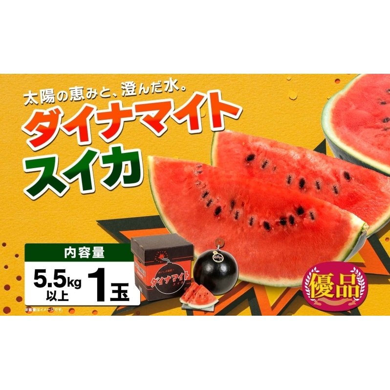 2025年夏発送】北海道 ダイナマイトスイカ 優品 1玉 約5.5kg以上 令和7年 スイカ すいか 西瓜 黒皮 黒スイカ 果物 フルーツ 旬 希少  貴重 甘い 国産 産地直送 ギフト お祝い 贈答品 贈り物 日持ち お取り寄せ 送料無料 | 北海道月形町 | JRE MALLふるさと納税