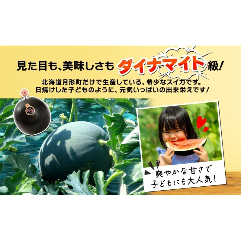 2025年夏発送】北海道 ダイナマイトスイカ 秀品 1玉 約7kg以上 2025年夏発送】北海道 ダイナマイトスイカ 秀品 1玉 約7kg以上