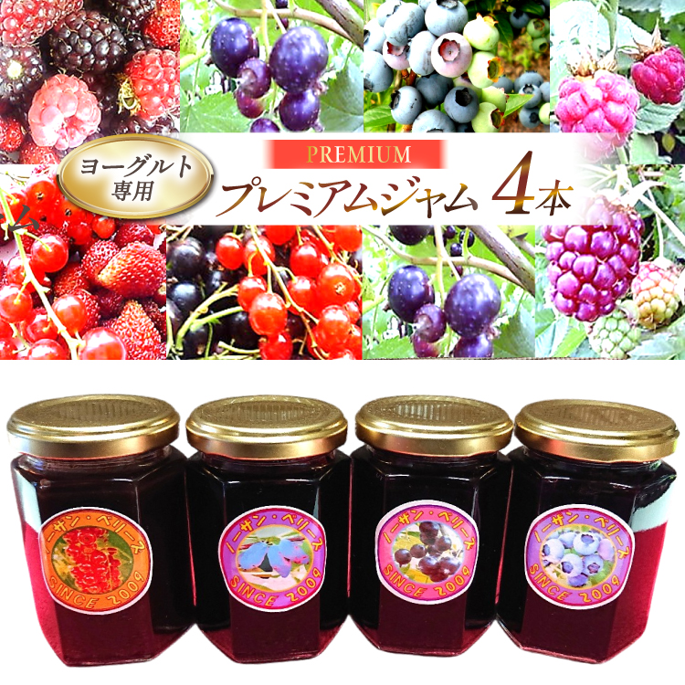 ヨーグルト専用プレミアム・ジャム４本詰めセット [ノーザン・ベリーズ 北海道 砂川市 12260842] 果物 フルーツ 国産 ジャム瓶 自家栽培 レビューキャンペーン