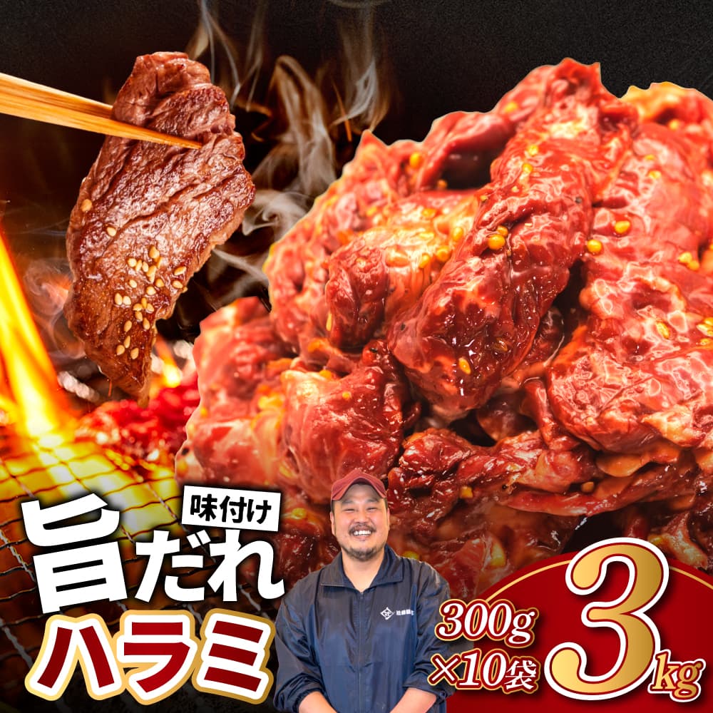 旨だれハラミ 3kg 牛肉 選べる発送時期 容量 牛肉 肉 牛 濃厚 旨味 便利 小分け お肉 牛肉 ハラミ 牛ハラミ 冷凍 送料無料 近藤精肉店 24-007