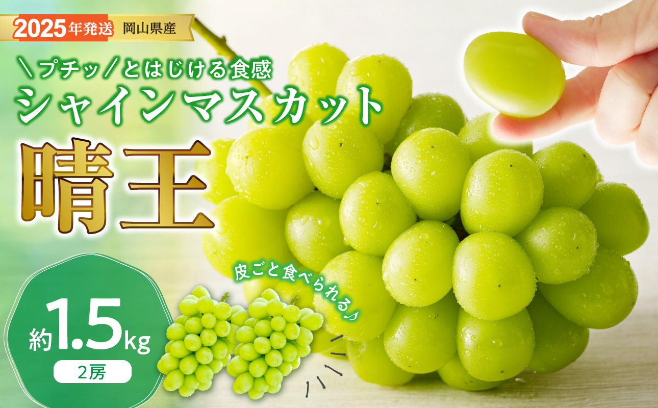 【2025年発送分 先行受付スタート】岡山県産シャインマスカット「晴王」 秀品 約1.5kg(2房)(令和7年8月中旬~11月中旬頃発送)【 シャインマスカット 晴王 フルーツ 果物 くだもの 葡萄 ぶどう 御中元 ギフト プレゼント 御祝 岡山県産 秀品 種無し 高糖度 hzS-M 】