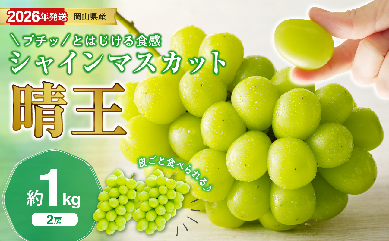 【2026年発送分 先行受付スタート!】岡山県産シャインマスカット「晴王」 秀品 約1kg(2房)(令和8年8月中旬~10月頃発送)【 シャインマスカット 晴王 フルーツ 果物 くだもの 葡萄 ぶどう 御中元 ギフト プレゼント 御祝 岡山県産 秀品 種無し 高糖度 】hz-s