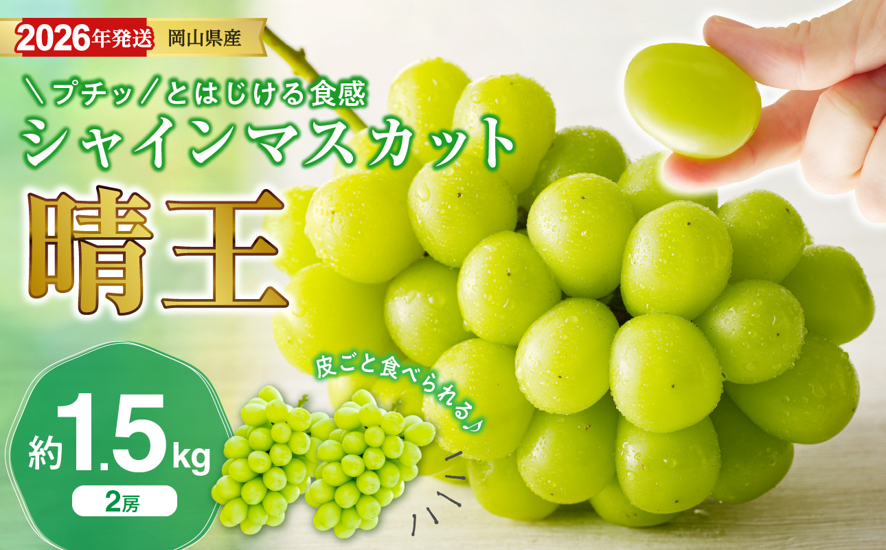 【2026年発送分 先行受付スタート!】岡山県産シャインマスカット「晴王」秀品 約1.5kg(2房)(令和8年8月中旬~11月中旬頃発送)【 シャインマスカット 晴王 フルーツ 果物 くだもの 葡萄 ぶどう 御中元 ギフト プレゼント 御祝 岡山県産 秀品 種無し 高糖度 】hz-s