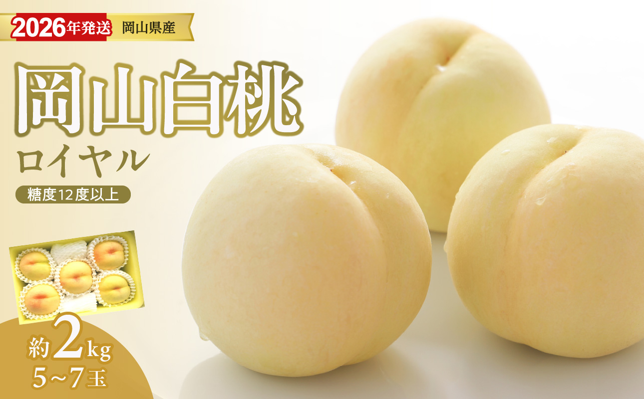 【2026年発送分 先行受付スタート!】岡山県産 白桃 最高ランク!「ロイヤル」 約2kg(令和8年7月以降発送)【 白桃ロイヤル フルーツ 果物 くだもの もも 桃 モモ 岡山県産 】hz-m