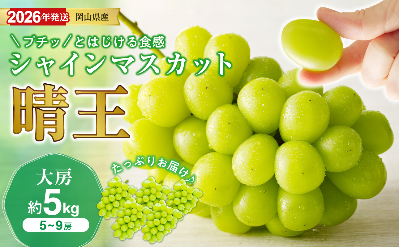 【2026年発送分 先行受付スタート!】岡山県産シャインマスカット「晴王」秀品 大房 約5kg(5~9房程度)(令和8年8月中旬~11月中旬頃発送)【 シャインマスカット 晴王 フルーツ 果物 くだもの 葡萄 ぶどう 岡山県産 秀品 大房 種無し 高糖度 】hz-s
