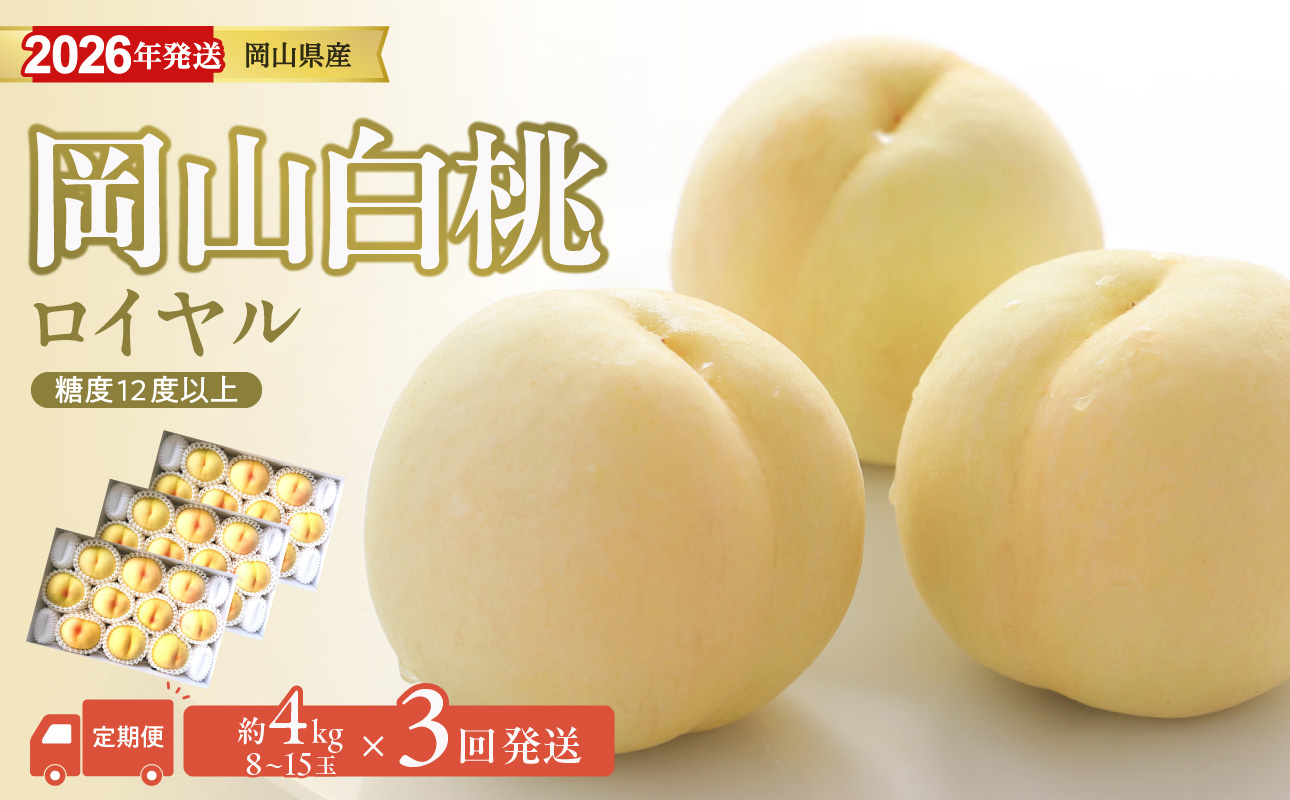 【2026年発送分 先行受付スタート!】【定期便】岡山県産 白桃 最高ランク!「ロイヤル」約4kg×3回発送【 白桃ロイヤル フルーツ 果物 くだもの もも 桃 モモ 岡山県産 】