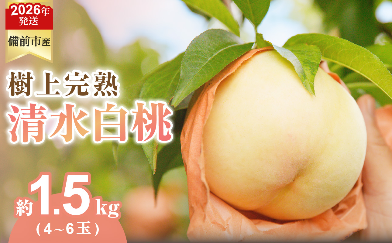 【2026年発送分 先行受付開始!】びぜん白桃 清水白桃 約1.5kg(令和8年7月上旬~7月中旬頃発送)【 岡山県備前市産 清水白桃 約1.5kg (4~6玉目安) 】