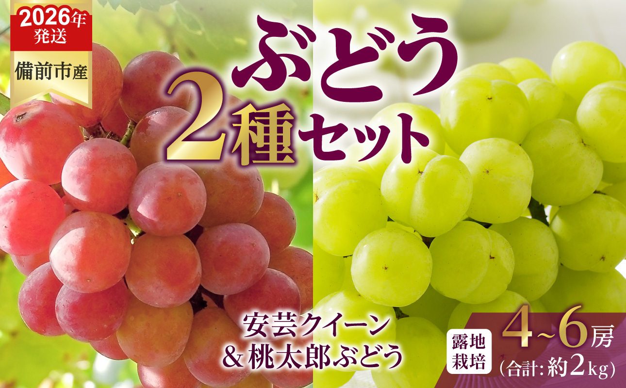 【2026年発送分 先行受付開始!】びぜん葡萄「安芸クイーン」「桃太郎ぶどう」(露地栽培)約2㎏入(令和8年9月上旬~9月下旬頃発送)【 岡山県備前市産 安芸クイーン 桃太郎ぶどう 露地栽培 約2kg 4房~6房 詰合せセット 】