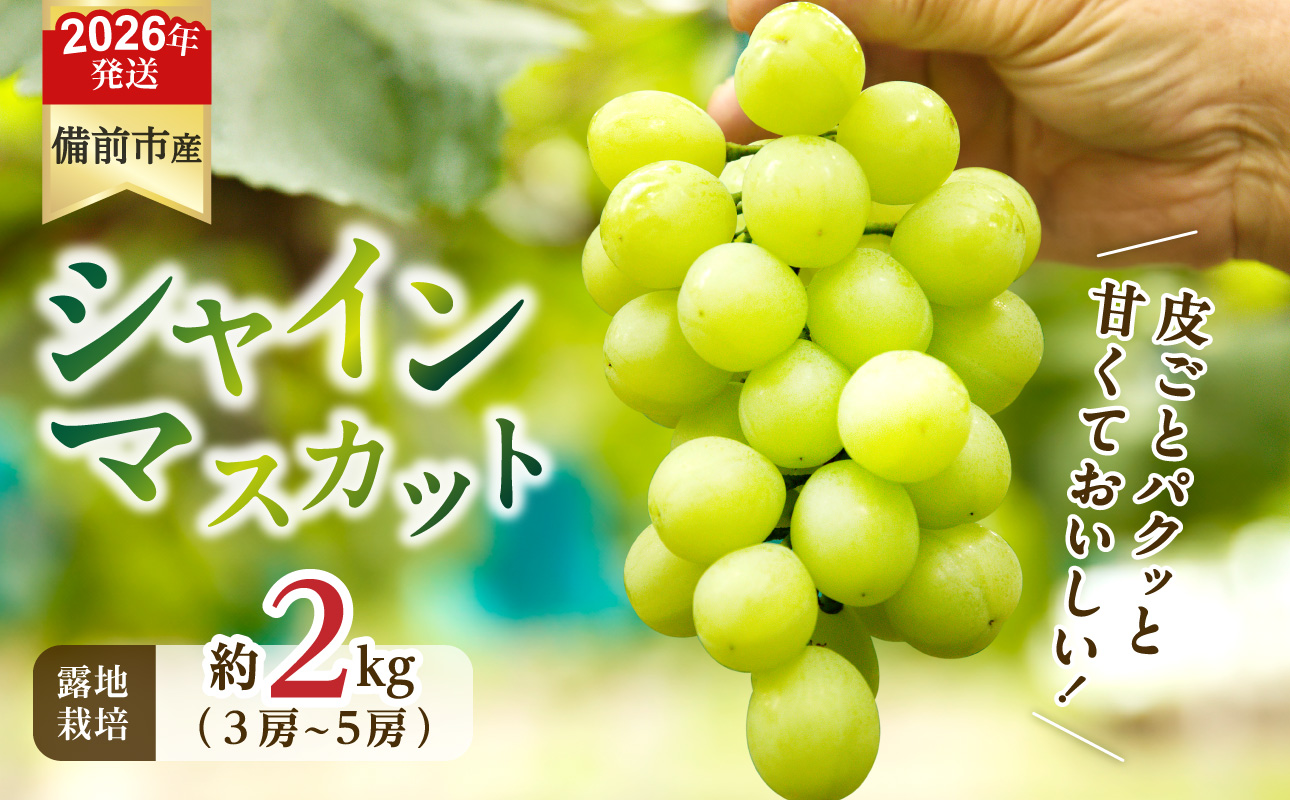 【2026年発送分 先行受付開始!】びぜん葡萄「シャインマスカット」(露地栽培)約2kg入(令和8年9月上旬~10月中旬頃発送)【 岡山県備前市産 シャインマスカット 露地栽培 約2kg(3~5房目安)樹上完熟 】