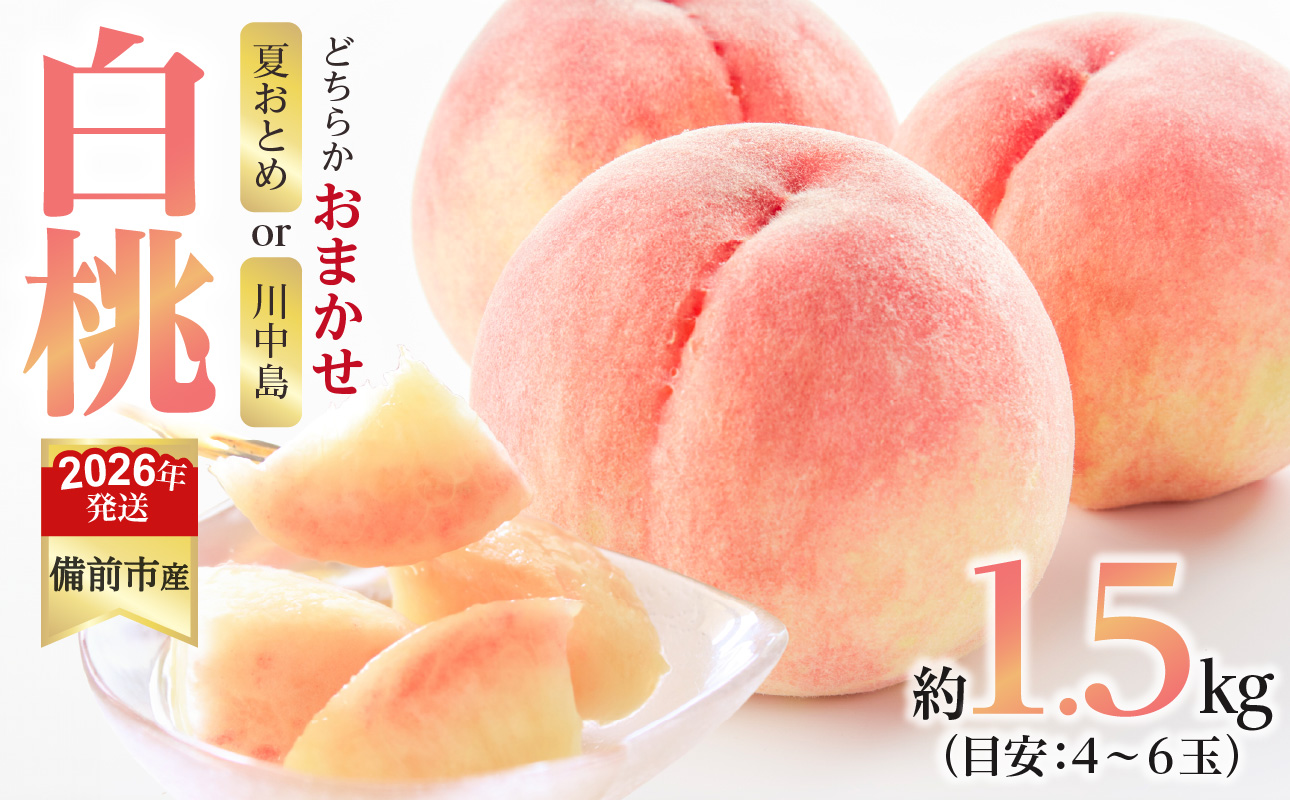 【2026年発送分 先行受付開始!】びぜん白桃 夏おとめ白桃・川中島白桃のうち1品種 約1.5kg(令和8年7月中旬~7月下旬頃発送)【 岡山県備前市産  夏おとめ白桃  川中島白桃 1品種のみ 約1.5kg (4~6玉目安)】