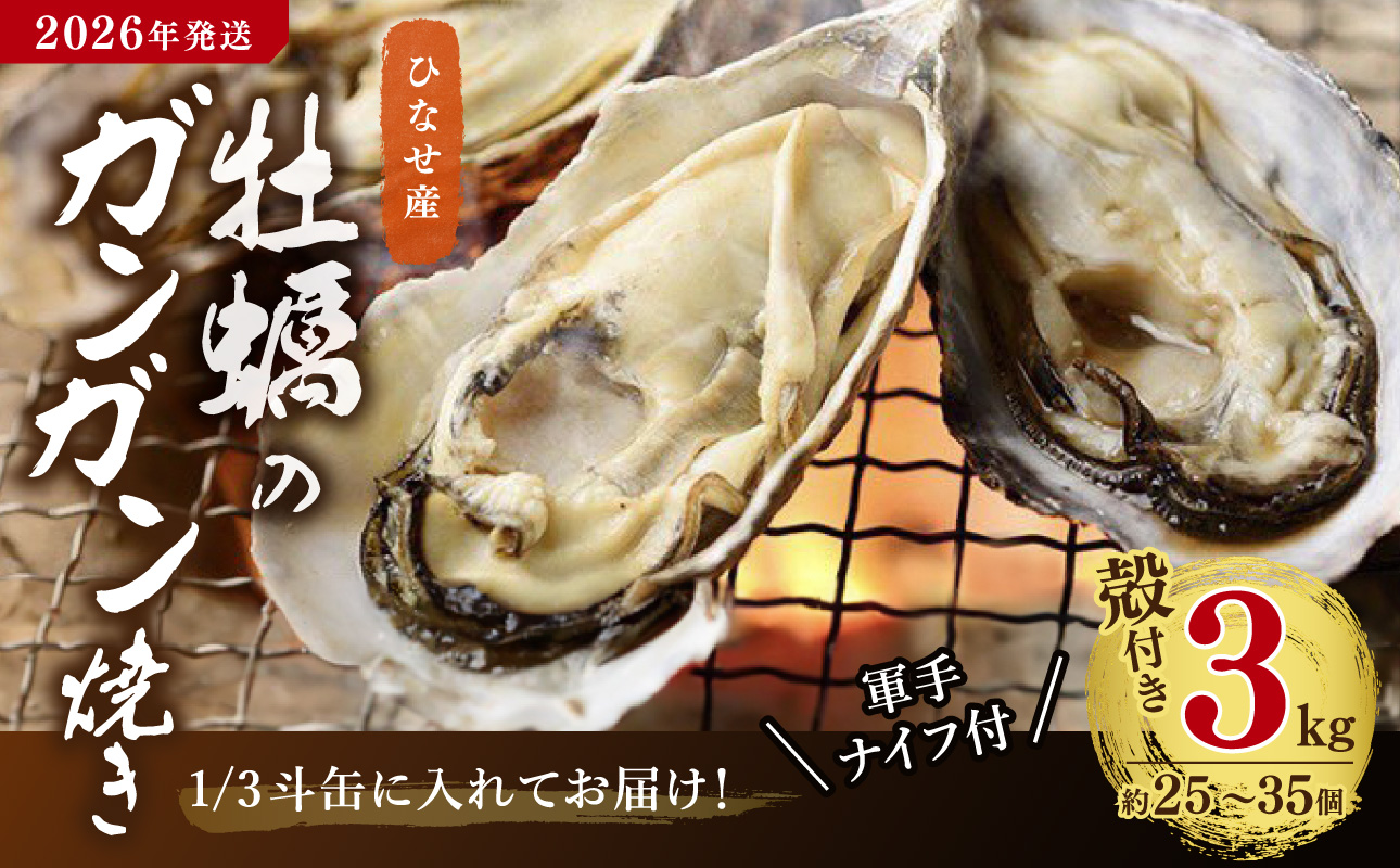 【2026年発送】ひなせ産 牡蠣 ガンガン焼きセット