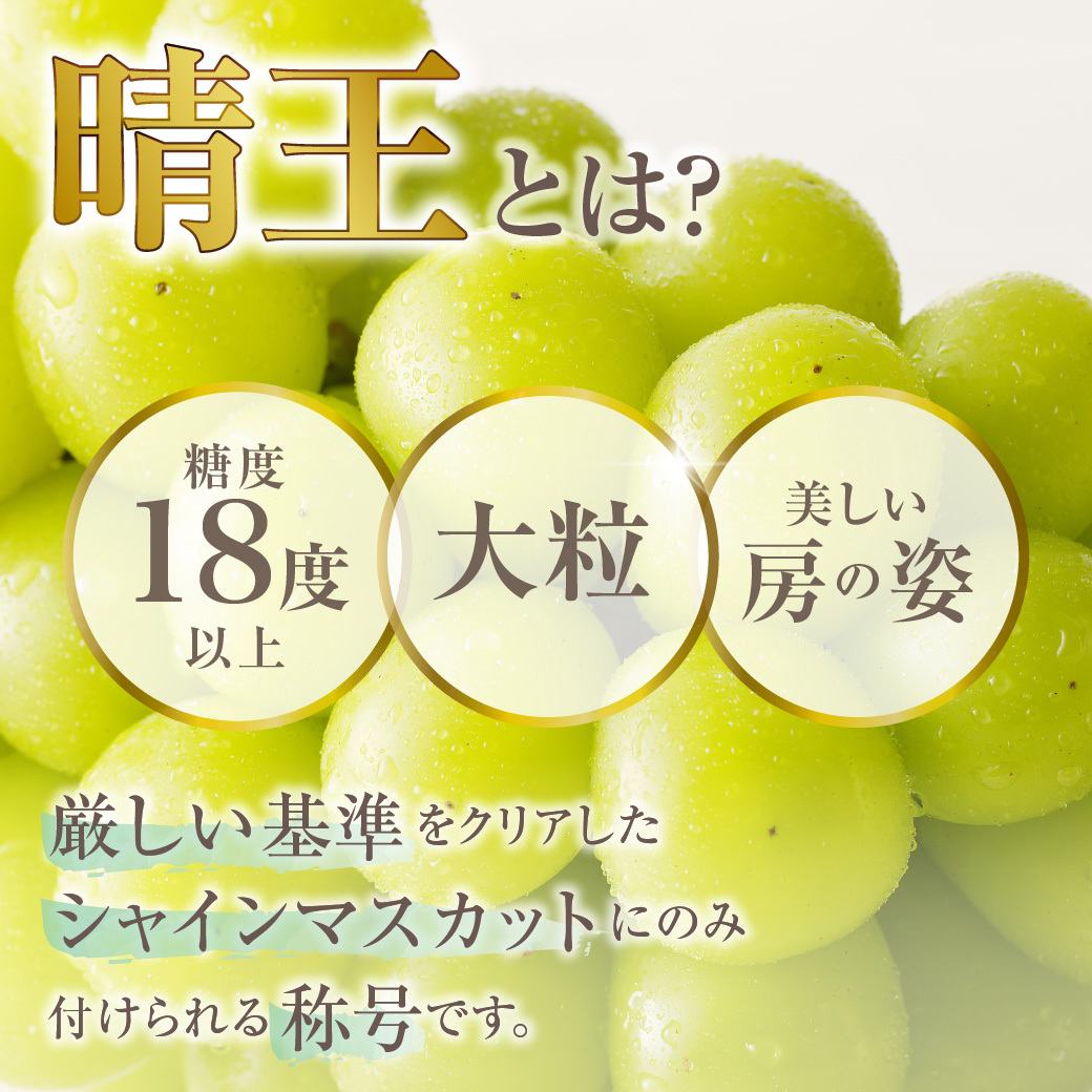 2024年発送分 先行受付スタート！】岡山県産シャインマスカット「晴王」 特選 大房 化粧箱入 1房（約700g）（令和６年8月中旬以降発送） |  岡山県備前市 | JRE MALLふるさと納税