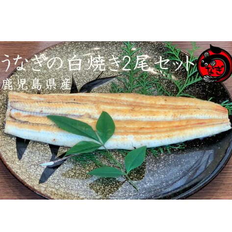 鹿児島産うなぎの白焼き2尾セット【B7-033】