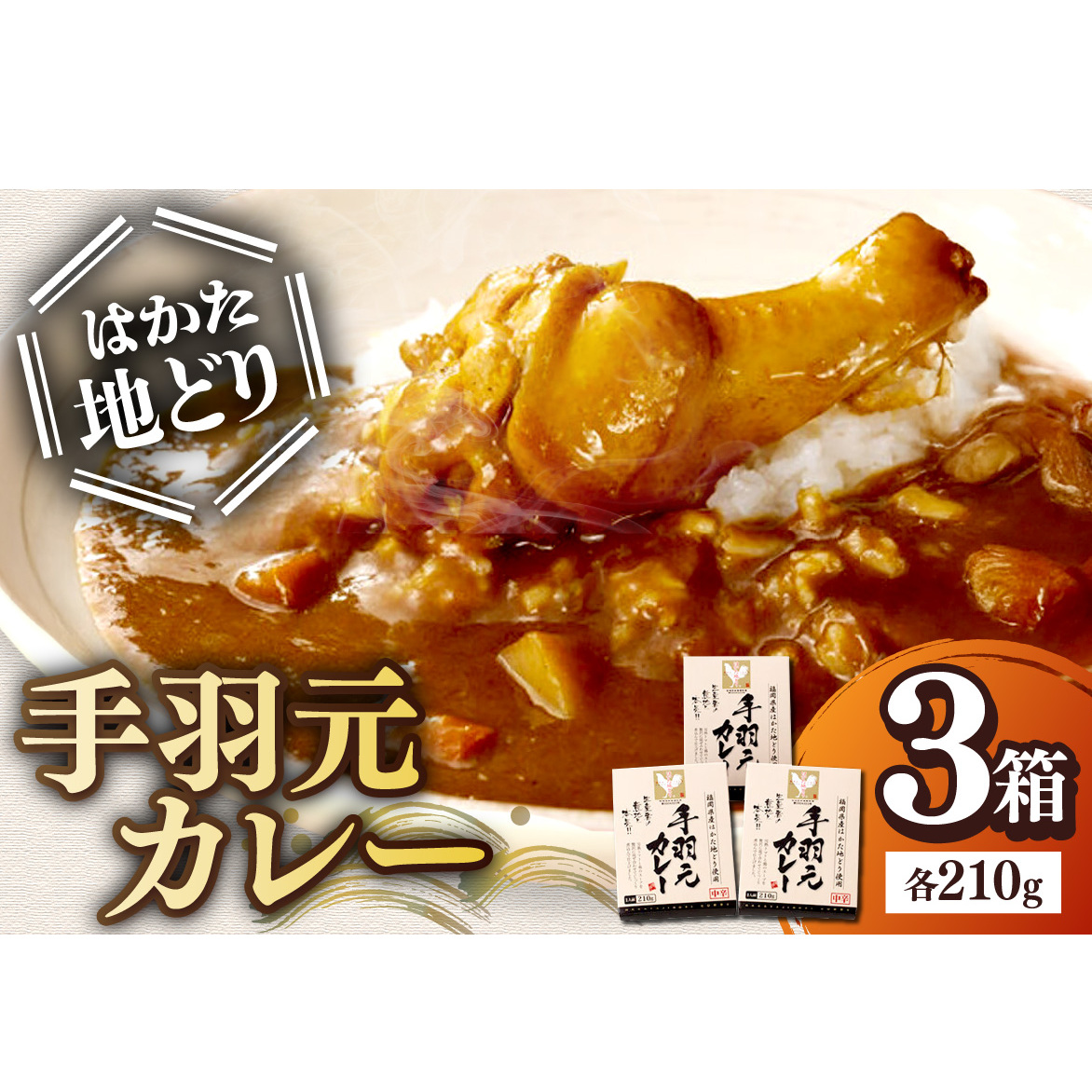 はかた地どり 手羽元カレー【A-861】