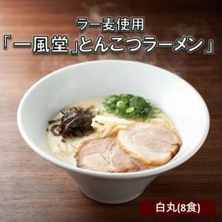 ラー麦使用「一風堂」とんこつラーメン 白丸(8食)【A2-117】