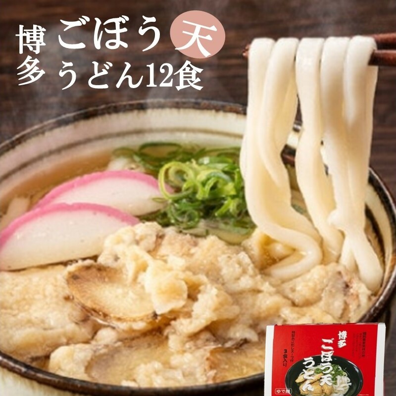 博多ごぼう天うどん 12食セット【A5-431】