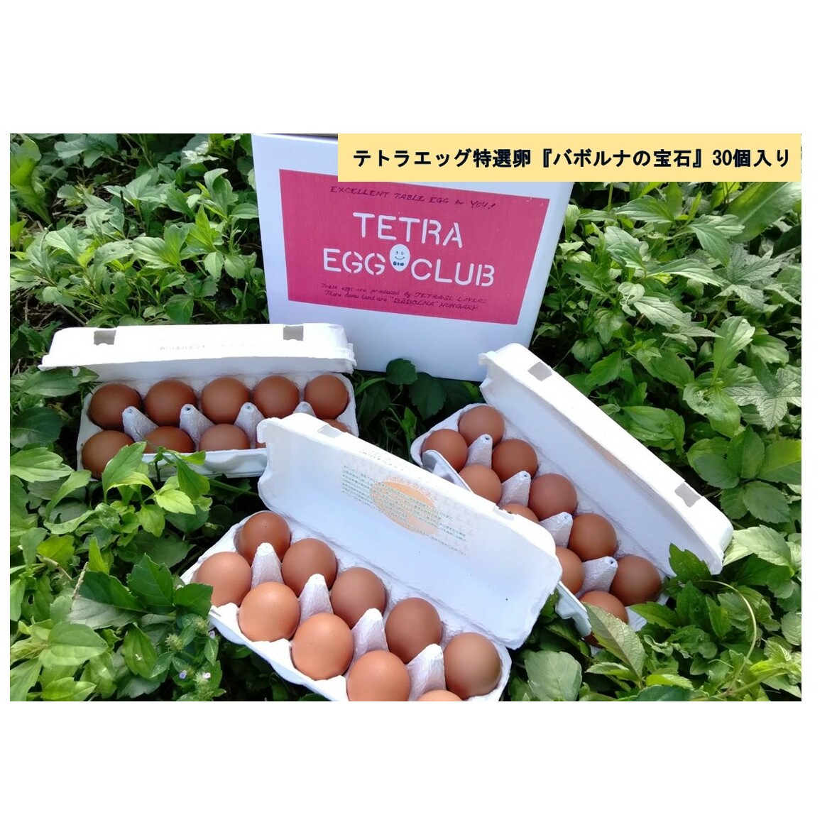 テトラエッグ特選卵『バボルナの宝石』30個入【A-807】