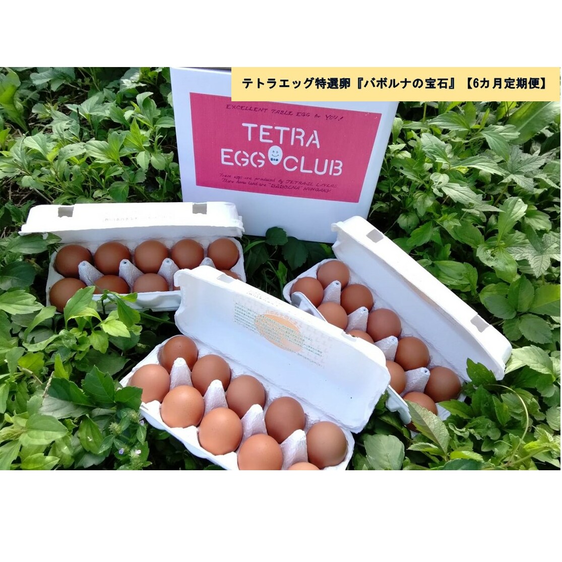テトラエッグ特選卵『バボルナの宝石』(30個/月)【6カ月定期便】【E7-004】