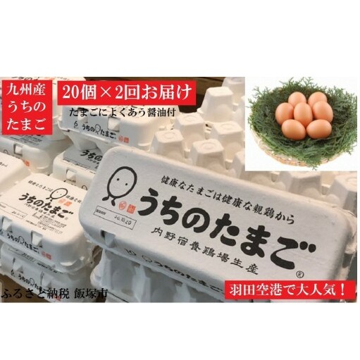 うちのたまご醤油セット(2回お届け)【B3-011】