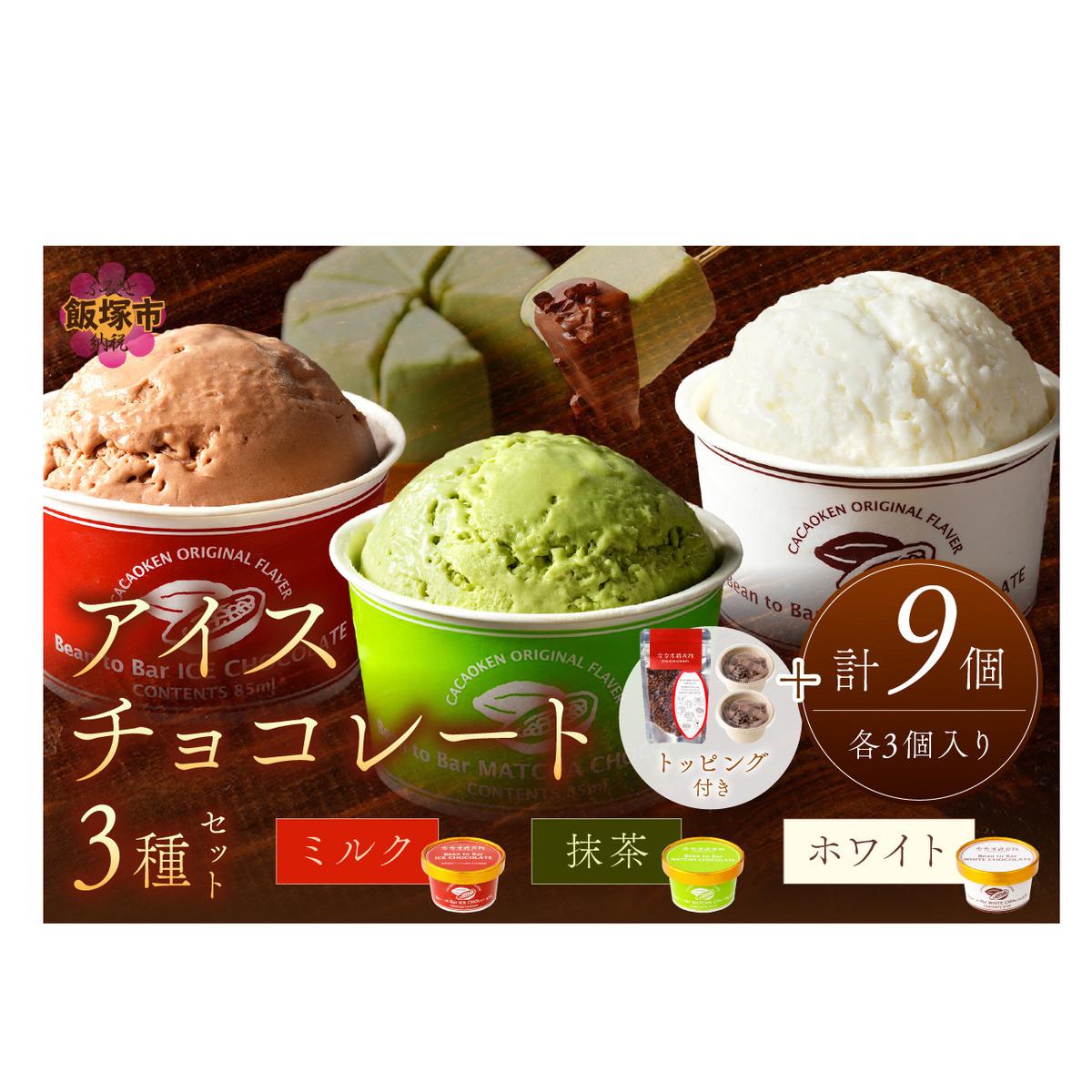 カカオ研究所 アイスチョコレートセット(9個入り)【C4-010】