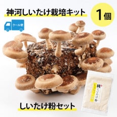 神河しいたけ栽培キット(しいたけ菌床)1個としいたけ粉セット ※5月~10月順次発送【配送不可地域:離島】【1411539】