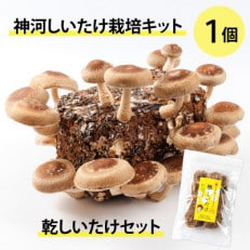 神河しいたけ栽培キット(しいたけ菌床)1個と乾しいたけセット ※10月~4月発送【1355227】