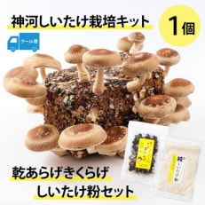 神河しいたけ栽培キット(しいたけ菌床)1個と乾あらげきくらげ・しいたけ粉セット※5月~10月順次発送【配送不可地域:離島】【1411540】