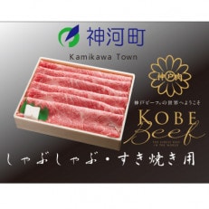 神戸ビーフ しゃぶしゃぶ・すき焼き用(かた・もも)500g KKWS2【配送不可地域:離島】【1363771】