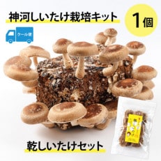 神河しいたけ栽培キット(しいたけ菌床)1個と乾しいたけセット ※5月~10月順次発送【配送不可地域:離島】【1411537】