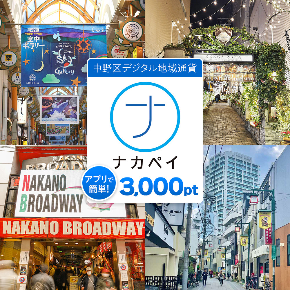 ナカペイふるさと納税ポイント 3,000円分