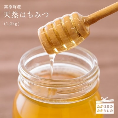 高原町産天然はちみつ(1.2kg) TF0269-P00011