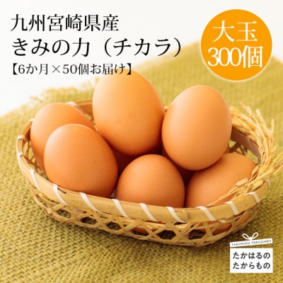 『たまごの定期便』年6回(計300個) 宮崎県産 卵 きみの力(チカラ) Lサイズの大玉 産地直送の玉子 産直 TF0448-P00035