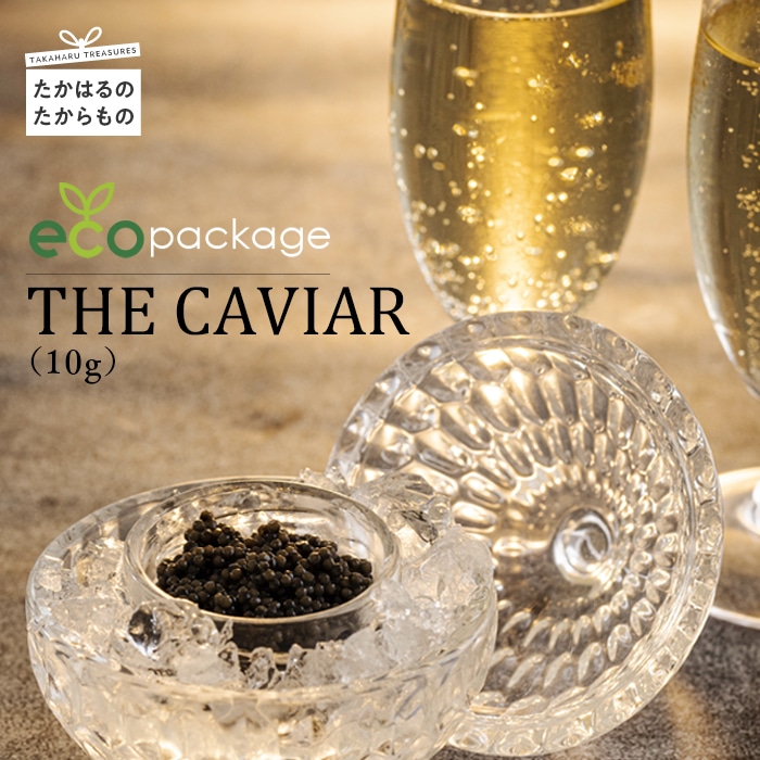 THE・CAVIAR(ザ・キャビア)10g　訳アリecoパッケージ TF0531-P00066