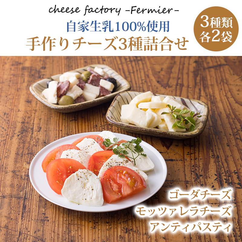 チーズ工房フェルミエ自家製チーズの詰め合わせ TF0620-P00037