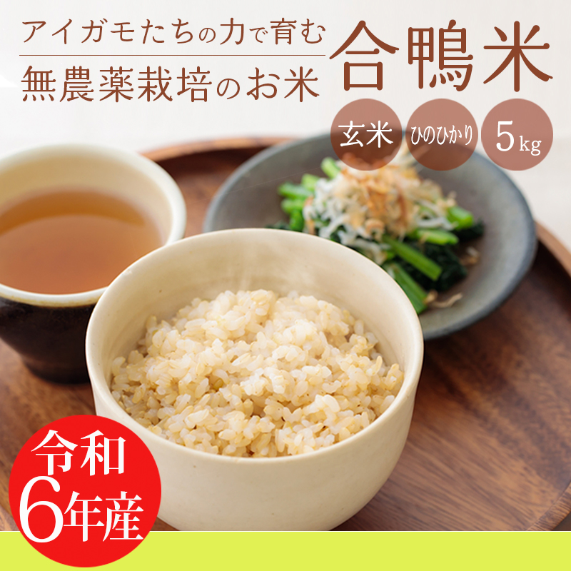 【令和6年産】高原町産 合鴨米(玄米)5kg TF0424-P00029