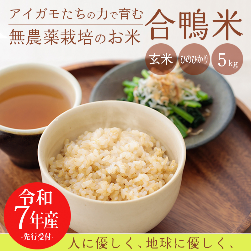 【令和7年産】高原町産 合鴨米(玄米)5kg TF0424-P00029
