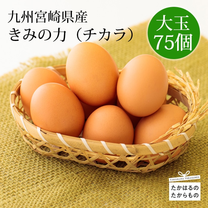 宮崎県産たまご『きみの力(チカラ)』Lサイズ大玉の卵75個 産地直送の玉子 L玉 産直 TF0406-P00035