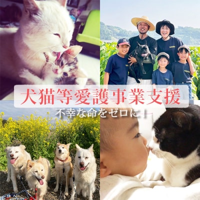 【返礼品なし】【犬猫等愛護活動 犬と猫と人にとって住みよい社会づくりを応援】宮崎県 高原町 特定非営利活動法人 咲桃虎(さくもんと) TF3022-P00056