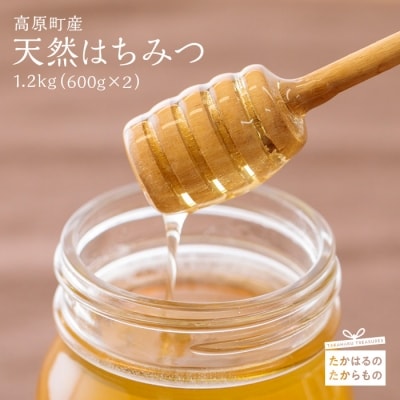 高原町産天然はちみつ　1.2kg(600g×2本) TF0364-P00011