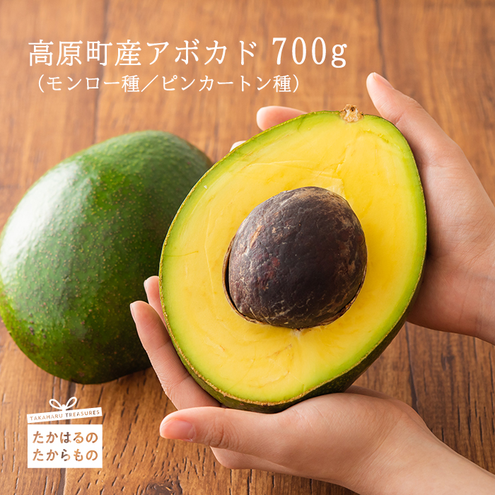 【限定50セット】宮崎県高原町産アボカド 国産の野菜 [日本産 数量限定 期間限定] TF0506-P00041