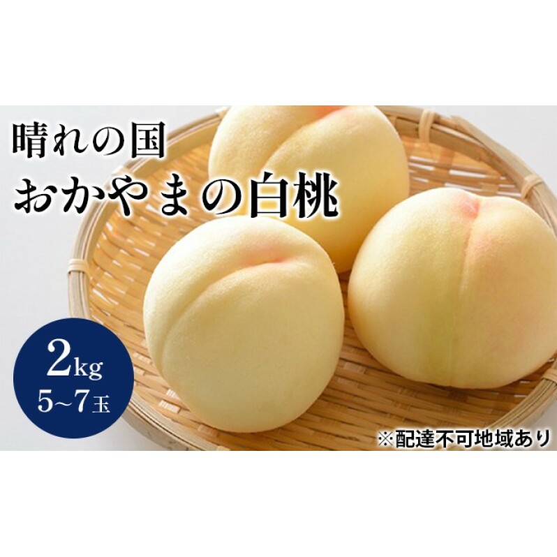 桃 【2026年 先行予約】 晴れの国 おかやま の 白桃 2kg(5~7玉) もも モモ 岡山県産 国産 フルーツ 果物 ギフト