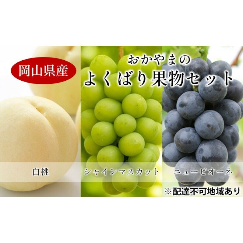 桃 ぶどう 【2026年 先行予約】 よくばり 果物 セット 岡山 白桃 2玉 合計600g以上 シャインマスカット 2房 合計1.2kg以上 ニュー ピオーネ 2房 合計1kg以上 岡山県産 国産 フルーツ 果物 ギフト