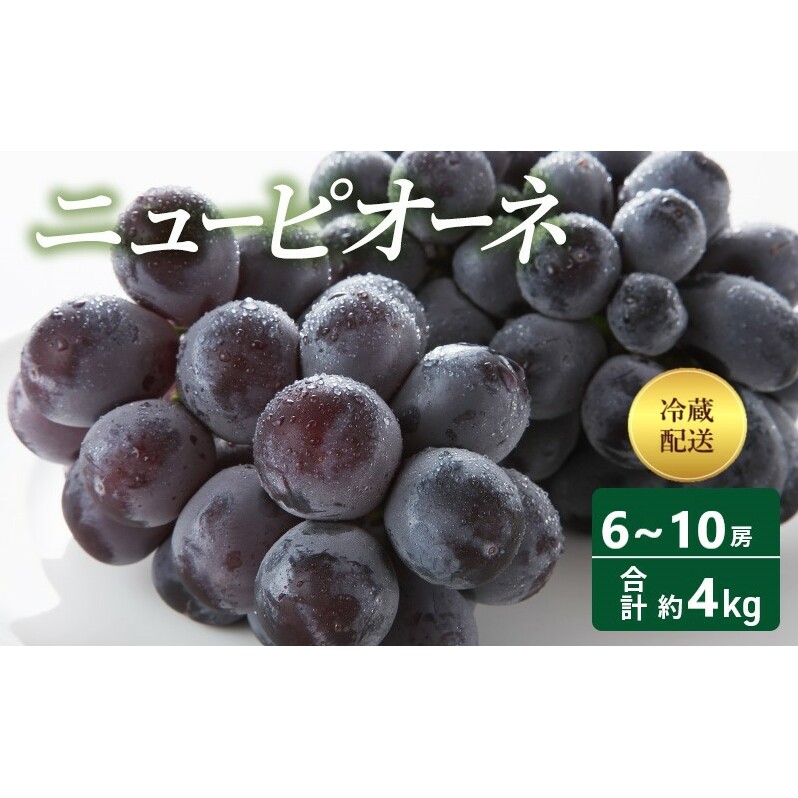 【2025年 先行予約】 ニューピオーネ 6～10房 合計約4kg 冷蔵配送 ピオーネ ぶどう 葡萄 フルーツ 果物 岡山 高梁市