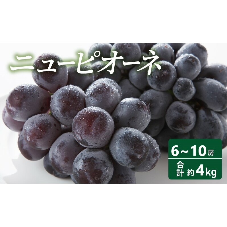 【2025年 先行予約】 ニューピオーネ 6～10房 合計約4kg 常温配送 ピオーネ ぶどう 葡萄 フルーツ 果物 岡山 高梁市