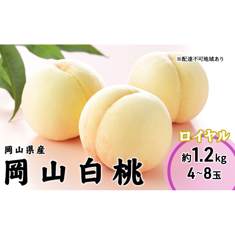 桃 2026年 先行予約 岡山 白桃 ロイヤル 4~8玉 1.2kg 岡山県産 JAおかやまのもも モモ 岡山県産 国産 フルーツ 果物 ギフト