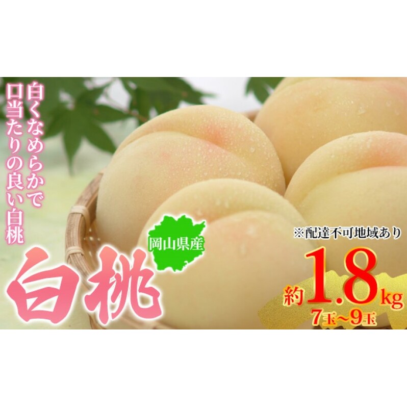 桃 2026年先行予約 岡山県産 白桃 約1.8kg 7~9玉 お届け 7月上旬~7月下旬