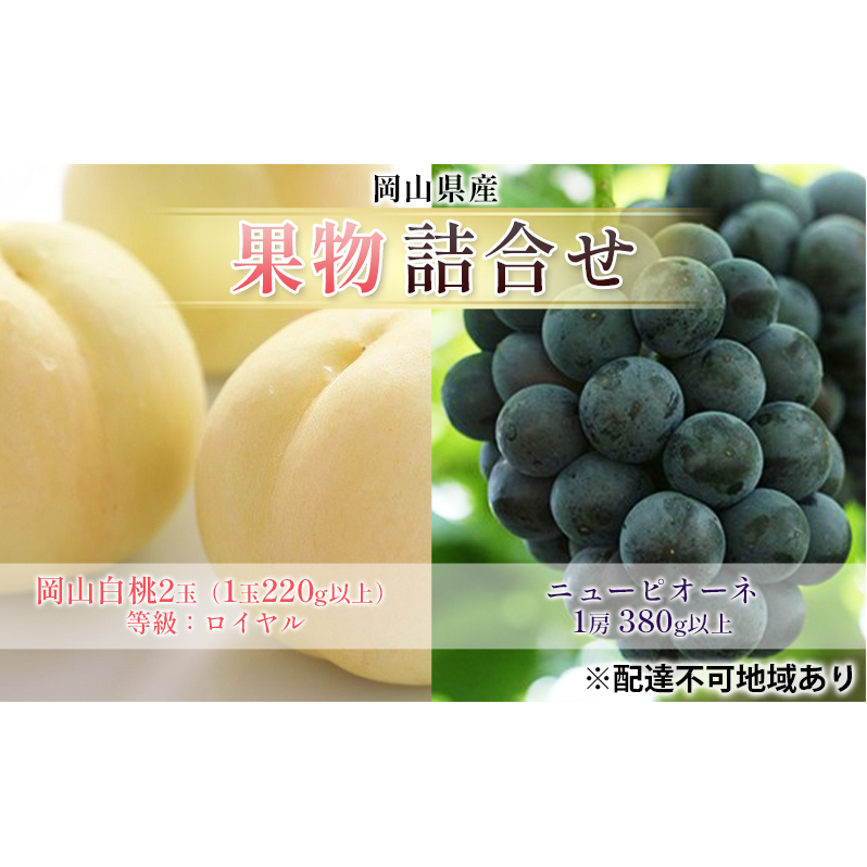 ぶどう 2025年 先行予約 果物 詰合せ 岡山 白桃 2玉 等級：ロイヤル（1玉220g以上） ニュー ピオーネ 1房 380g以上 もも 葡萄 岡山県産 国産 フルーツ 果物 ギフト