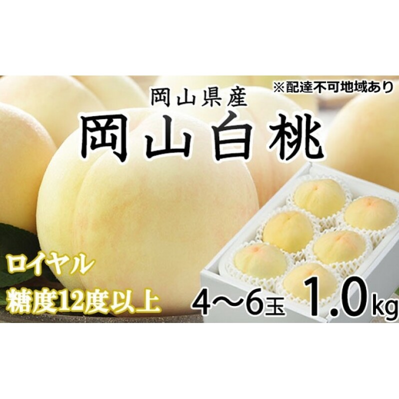 桃 2026年 先行予約 岡山 白桃 ロイヤル 4~6玉 約1kg JAおかやまのもも(早生種・中生種) もも モモ 岡山県産 国産 フルーツ 果物 ギフト