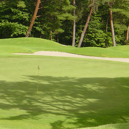 パインツリーゴルフクラブ 1組土日祝日プレー無料優待券（昼食付） ゴルフ場 利用券 優待チケット 丘陵 林間 コース 松林 自然 戦略的 スポーツ 趣味 ビジネス 社会人 